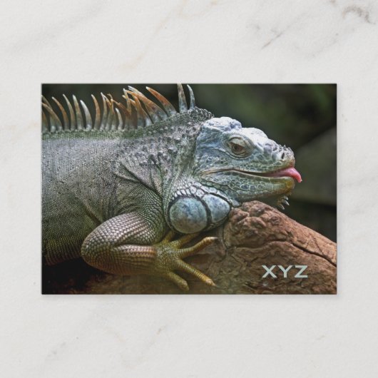 Cartes de visite de coutume d'iguane (Devant)