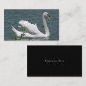 Cartes de visite de cygne (Devant / Derrière)