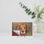 Cartes de visite de Dinah (Debout devant)