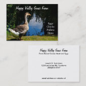 Cartes de visite de ferme de canard ou d'oie de (Devant / Derrière)