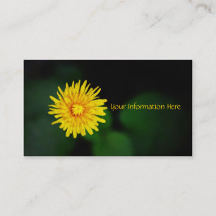 Cartes de visite de fleur de pissenlit