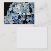 Cartes de visite de fleur d'hortensia (Devant / Derrière)