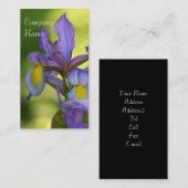 Cartes de visite de fleur d'iris (Devant / Derrière)