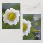Cartes de visite de fleurs de fraises blanches jol (Devant / Derrière)