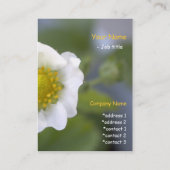Cartes de visite de fleurs de fraises blanches jol (Dos)