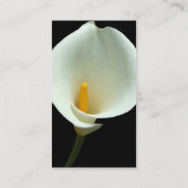 Cartes de visite de fleurs Lilly (Dos)