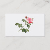 Cartes de visite de fleurs Redoute (Dos)