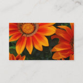 Cartes de visite de Gazania (Dos)