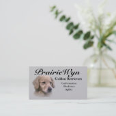 Cartes de visite de golden retriever de PrairieWyn (Debout devant)