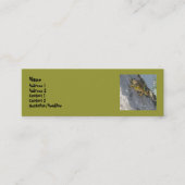 Cartes de visite de grenouille (Devant)