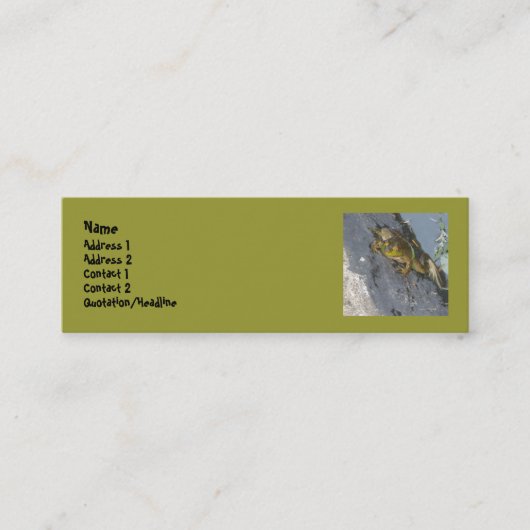 Cartes de visite de grenouille (Devant)