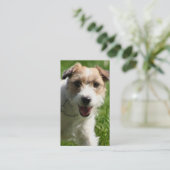 Cartes de visite de Jack Russell Terrier (Debout devant)