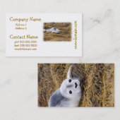 Cartes de visite de joint de port de bébé (Devant / Derrière)