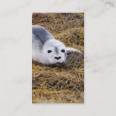 Cartes de visite de joint de port de bébé (Dos)