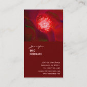 cartes de visite de la Red Rose (Dos)