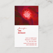 cartes de visite de la Red Rose (Dos)