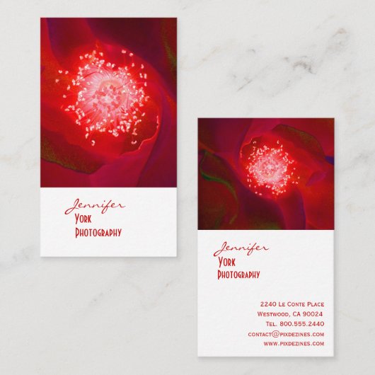 cartes de visite de la Red Rose (Devant / Derrière)