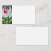 Cartes de visite de la Tulipe rouge (Devant / Derrière)