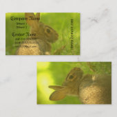 Cartes de visite de lapin (Devant / Derrière)