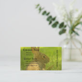 Cartes de visite de lapin (Debout devant)