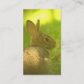 Cartes de visite de lapin (Dos)