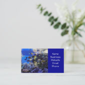 Cartes de visite de l'aquarium 2 (Debout devant)