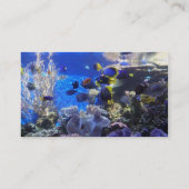 Cartes de visite de l'aquarium 2 (Dos)