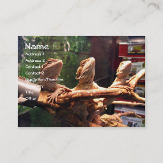 Cartes de visite de Leezerds