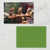 Cartes de visite de Leezerds (Devant / Derrière)