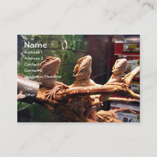 Cartes de visite de Leezerds (Devant)