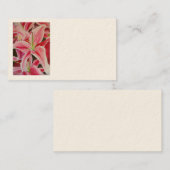 Cartes de visite de lily de Stargazer par Sacha Gr (Devant / Derrière)