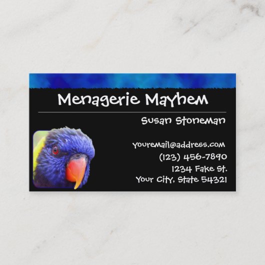 Cartes de visite de Lorikeet d'arc-en-ciel de (Devant)