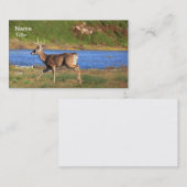 Cartes de visite de mâle (Devant / Derrière)