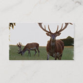 Cartes de visite de mâle (Dos)