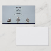 Cartes de visite de mouette (Devant / Derrière)