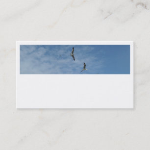 Cartes de visite de mouettes volantes