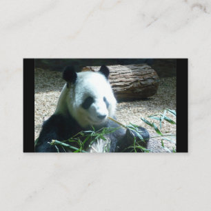 Cartes de visite de Panda Bear