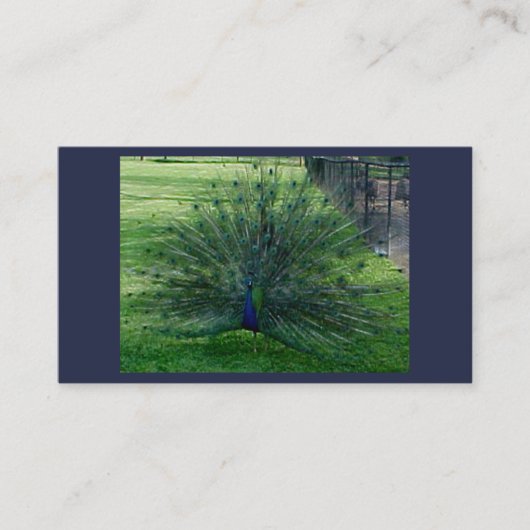 Cartes de visite de paock (Devant)