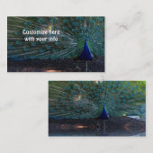 Cartes de visite de paock (Devant / Derrière)