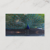 Cartes de visite de paock (Dos)