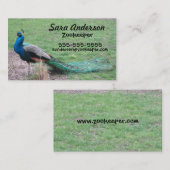 Cartes de visite de paon (Devant / Derrière)