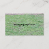 Cartes de visite de paon (Dos)