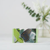Cartes de visite de papillon (Debout devant)