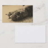Cartes de visite de pattes de chien (Devant / Derrière)