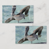 Cartes de visite de pélican (Devant / Derrière)