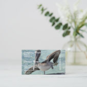 Cartes de visite de pélican (Debout devant)