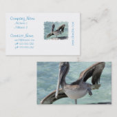 Cartes de visite de pélican (Devant / Derrière)