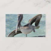 Cartes de visite de pélican (Dos)