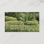 Cartes de visite de pelouse (Dos)