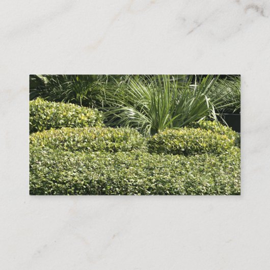 Cartes de visite de pelouse (Dos)